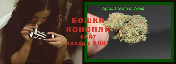spice Володарск