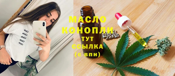 ECSTASY Горняк