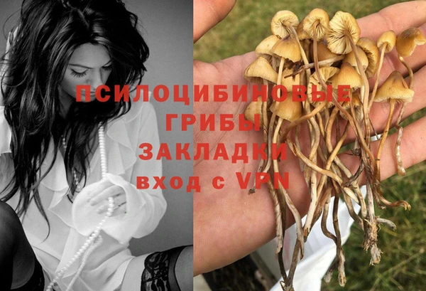 эйфоретик Волоколамск